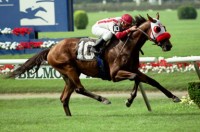 Zemanta Related Posts Thumbnail