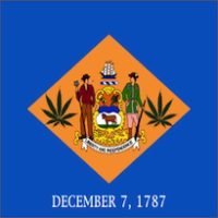 Delaware flag