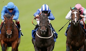 horse racing x