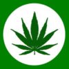 Cannabis Cryptocurrencies